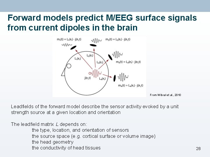 Forward models predict M/EEG surface signals from current dipoles in the brain From Wibral