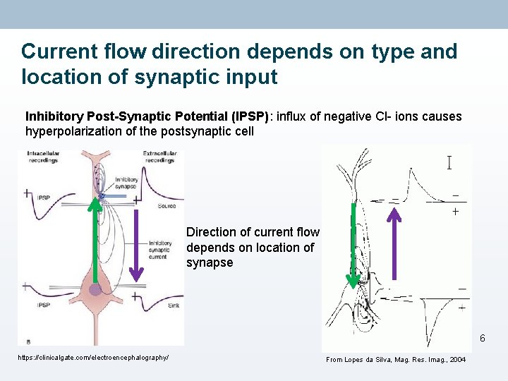 Current flow direction depends on type and location of synaptic input Inhibitory Post-Synaptic Potential