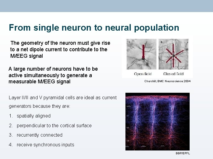 From single neuron to neural population The geometry of the neuron must give rise