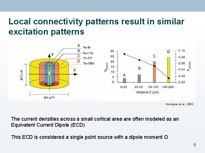 Local connectivity patterns result in similar excitation patterns Holmgren et al. , 2003 The