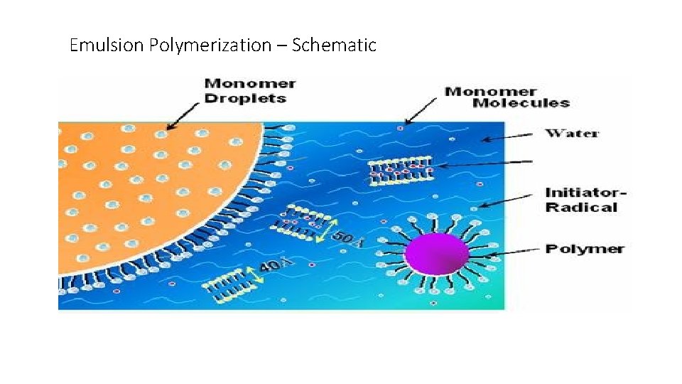 Emulsion Polymerization – Schematic 