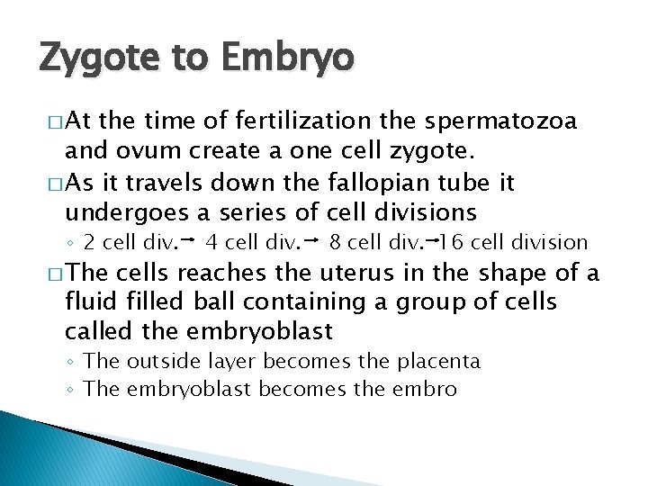 Zygote to Embryo � At the time of fertilization the spermatozoa and ovum create