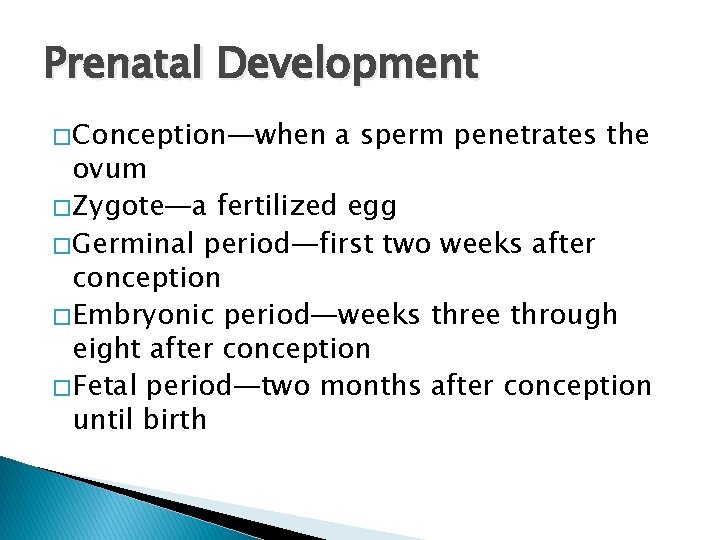 Prenatal Development � Conception—when a sperm penetrates the ovum � Zygote—a fertilized egg �
