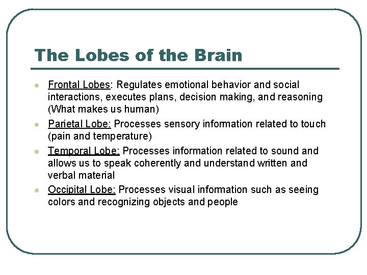 The Lobes of the Brain l l Frontal Lobes: Regulates emotional behavior and social
