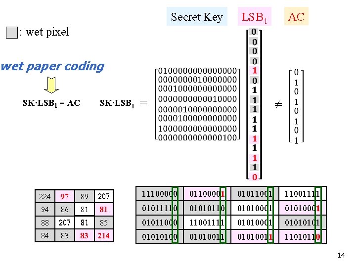 Secret Key : wet pixel LSB 1 AC wet paper coding SK·LSB 1 =