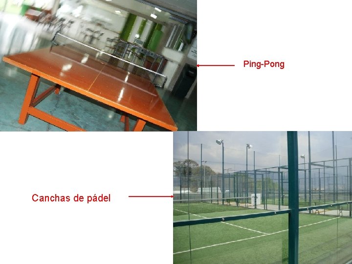 Ping-Pong Canchas de pádel 