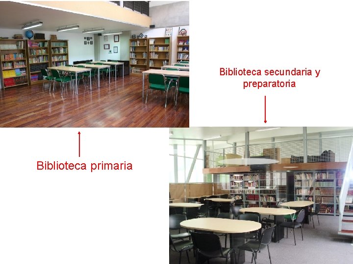 Biblioteca secundaria y preparatoria Biblioteca primaria 
