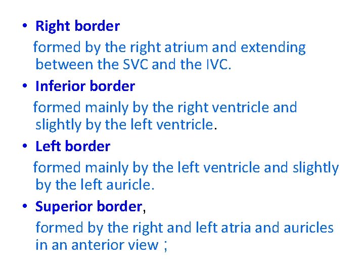 • Right border formed by the right atrium and extending between the SVC  • Right border formed by the right atrium and extending between the SVC