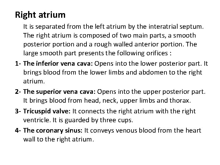 Right atrium 1 - 234 - It is separated from the left atrium by Right atrium 1 - 234 - It is separated from the left atrium by