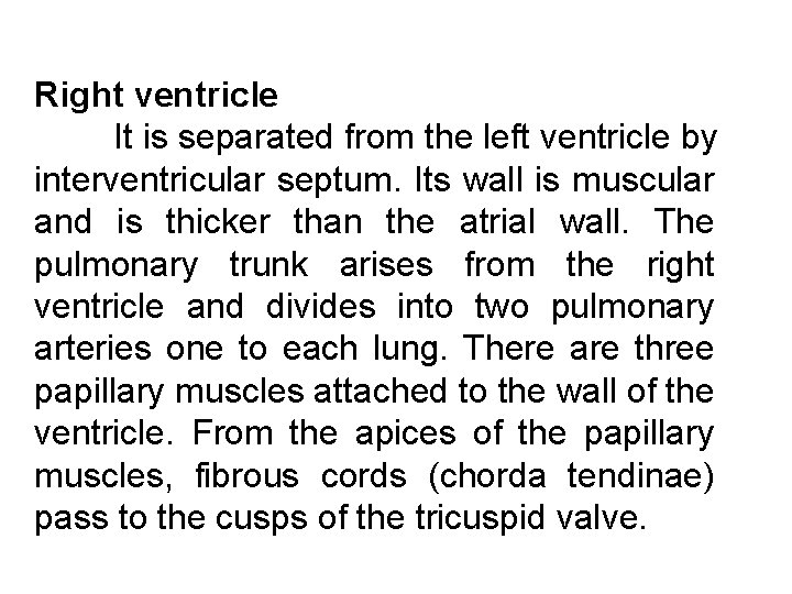Right ventricle It is separated from the left ventricle by interventricular septum. Its wall Right ventricle It is separated from the left ventricle by interventricular septum. Its wall