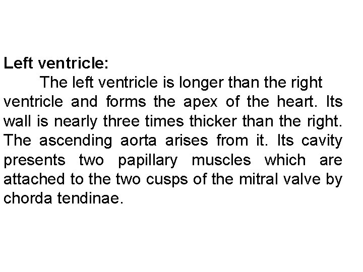 Left ventricle: The left ventricle is longer than the right ventricle and forms the Left ventricle: The left ventricle is longer than the right ventricle and forms the