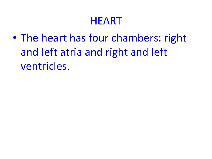 HEART • The heart has four chambers: right and left atria and right and HEART • The heart has four chambers: right and left atria and right and