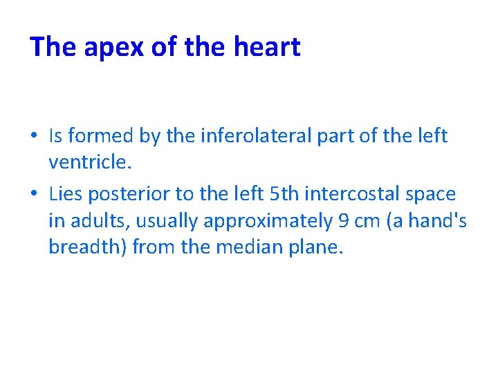 The apex of the heart • Is formed by the inferolateral part of the The apex of the heart • Is formed by the inferolateral part of the