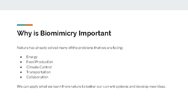 Why is Biomimicry Important Nature has already solved many of the problems that we
