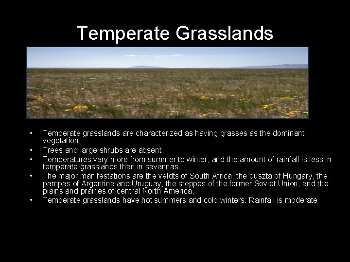 Temperate Grasslands • • • Temperate grasslands are characterized as having grasses as the