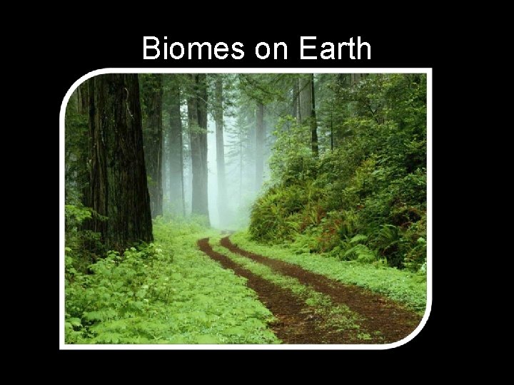 Biomes on Earth 