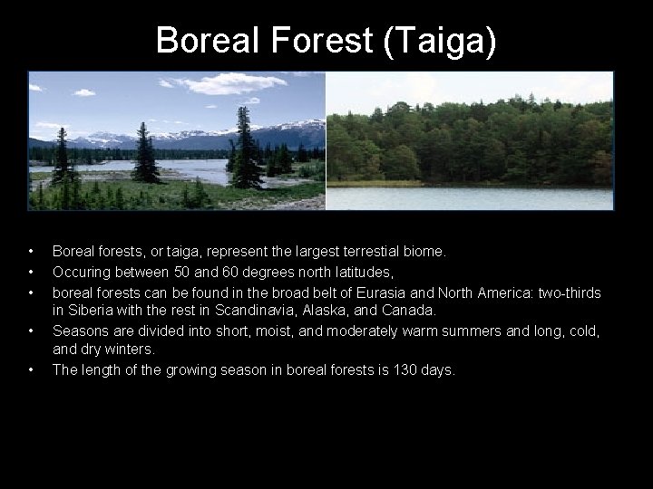 Boreal Forest (Taiga) • • • Boreal forests, or taiga, represent the largest terrestial