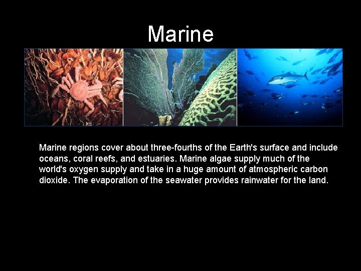 Marine regions cover about three-fourths of the Earth's surface and include oceans, coral reefs,