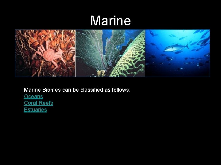 Marine Biomes can be classified as follows: Oceans Coral Reefs Estuaries 