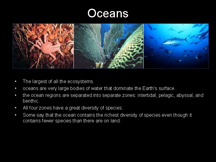 Oceans • • • The largest of all the ecosystems. oceans are very large