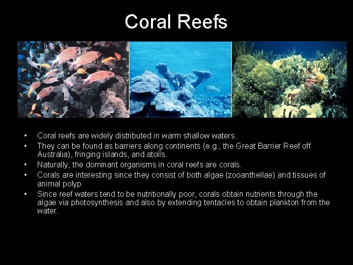 Coral Reefs • • • Coral reefs are widely distributed in warm shallow waters.