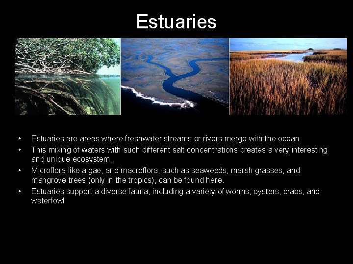 Estuaries • • Estuaries areas where freshwater streams or rivers merge with the ocean.