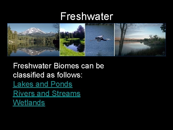 Freshwater Biomes can be classified as follows: Lakes and Ponds Rivers and Streams Wetlands