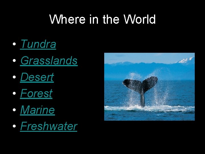 Where in the World • • • Tundra Grasslands Desert Forest Marine Freshwater 