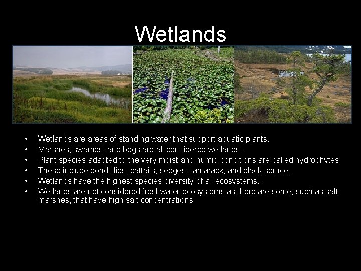 Wetlands • • • Wetlands areas of standing water that support aquatic plants. Marshes,