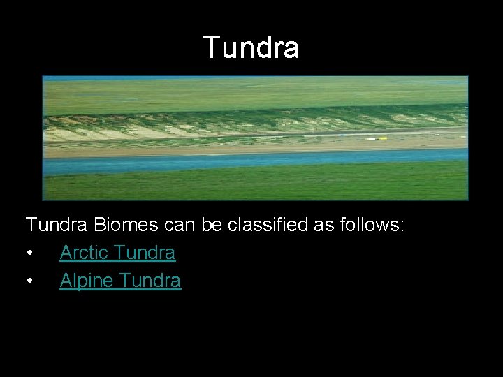 Tundra Biomes can be classified as follows: • Arctic Tundra • Alpine Tundra 