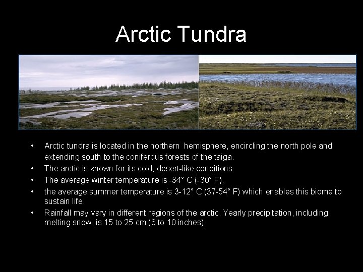Arctic Tundra • • • Arctic tundra is located in the northern hemisphere, encircling