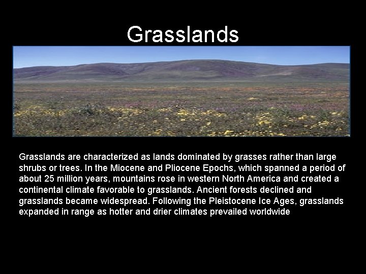 Grasslands are characterized as lands dominated by grasses rather than large shrubs or trees.