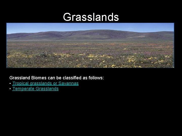 Grasslands Grassland Biomes can be classified as follows: • Tropical grasslands or Savannas •