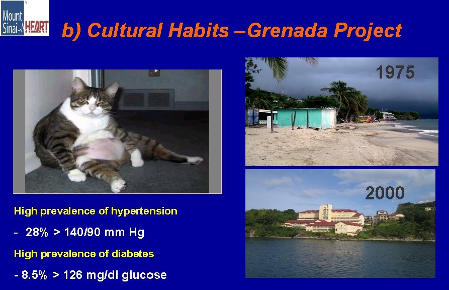 b) Cultural Habits –Grenada Project 1975 2000 High prevalence of hypertension - 28% >