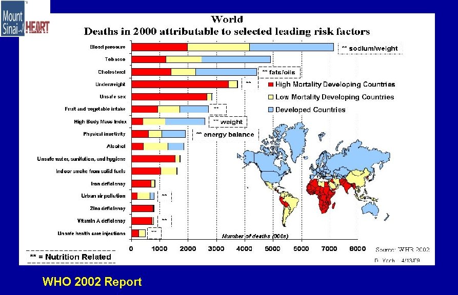 WHO 2002 Report 