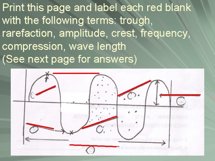 Print this page and label each red blank with the following terms: trough, rarefaction,