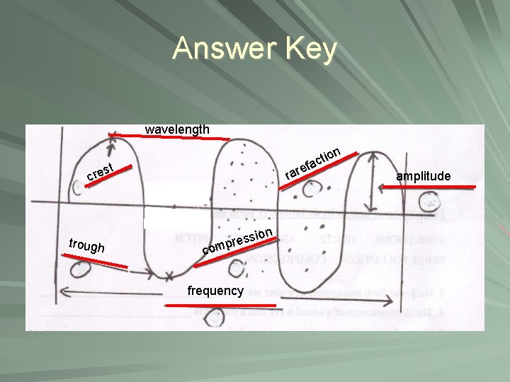 Answer Key wavelength ion t c fa st e r c trough e rar