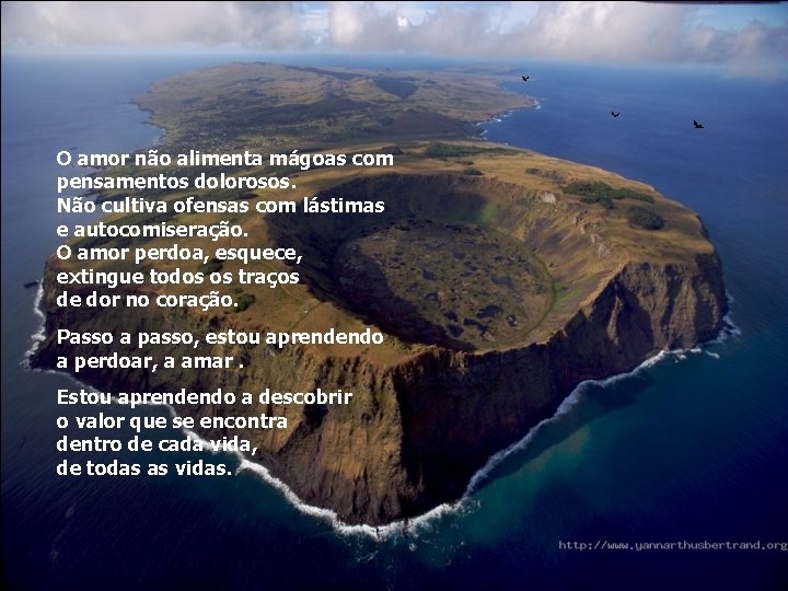 O amor não alimenta mágoas com pensamentos dolorosos. Não cultiva ofensas com lástimas e O amor não alimenta mágoas com pensamentos dolorosos. Não cultiva ofensas com lástimas e