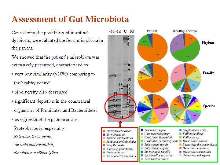 Assessment of Gut Microbiota Considering the possibility of intestinal dysbiosis, we evaluated the fecal