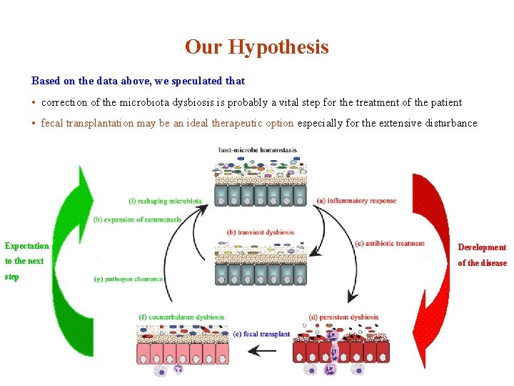 Our Hypothesis Based on the data above, we speculated that • correction of the