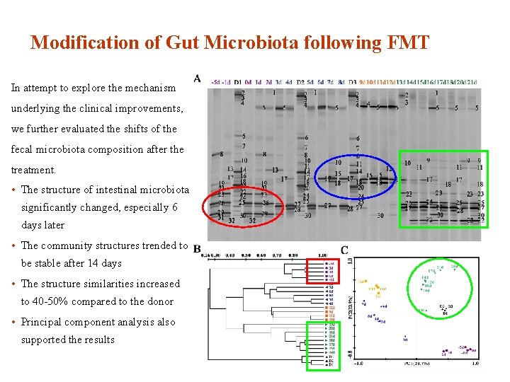 Modification of Gut Microbiota following FMT In attempt to explore the mechanism underlying the