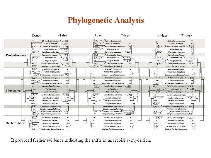 Phylogenetic Analysis It provided further evidence indicating the shifts in microbial composition. 