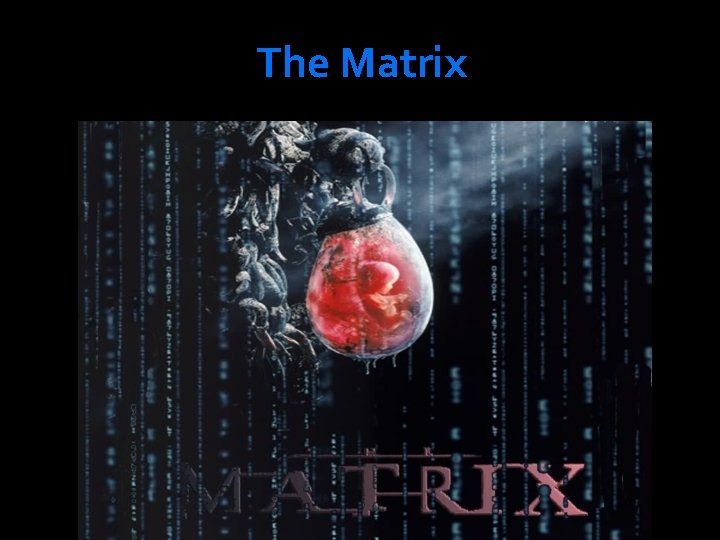 The Matrix The Matrix
