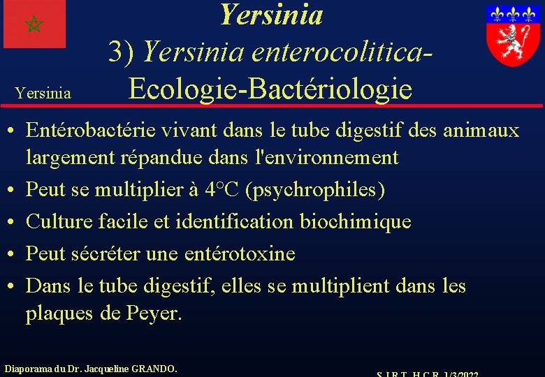 Yersinia 3) Yersinia enterocolitica. Ecologie-Bactériologie • Entérobactérie vivant dans le tube digestif des animaux