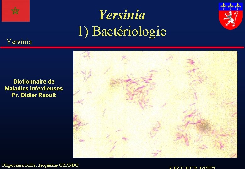 Yersinia 1) Bactériologie Dictionnaire de Maladies Infectieuses Pr. Didier Raoult Diaporama du Dr. Jacqueline
