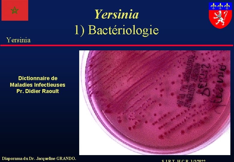 Yersinia 1) Bactériologie Dictionnaire de Maladies Infectieuses Pr. Didier Raoult Diaporama du Dr. Jacqueline