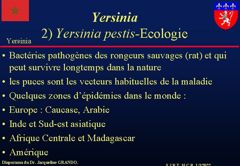 Yersinia 2) Yersinia pestis-Ecologie • Bactéries pathogènes des rongeurs sauvages (rat) et qui peut