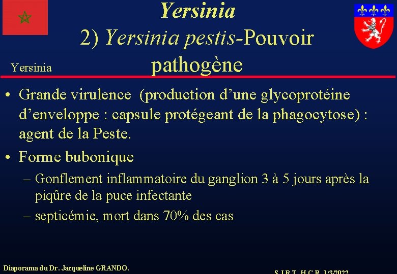 Yersinia 2) Yersinia pestis-Pouvoir pathogène • Grande virulence (production d’une glycoprotéine d’enveloppe : capsule