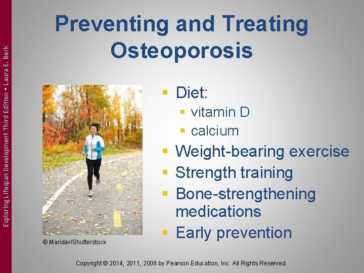 Exploring Lifespan Development Third Edition Laura E. Berk Preventing and Treating Osteoporosis § Diet: