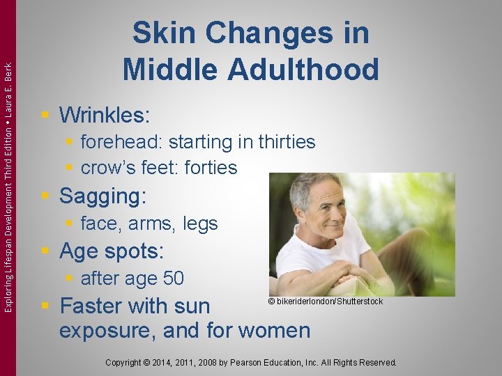 Exploring Lifespan Development Third Edition Laura E. Berk Skin Changes in Middle Adulthood §